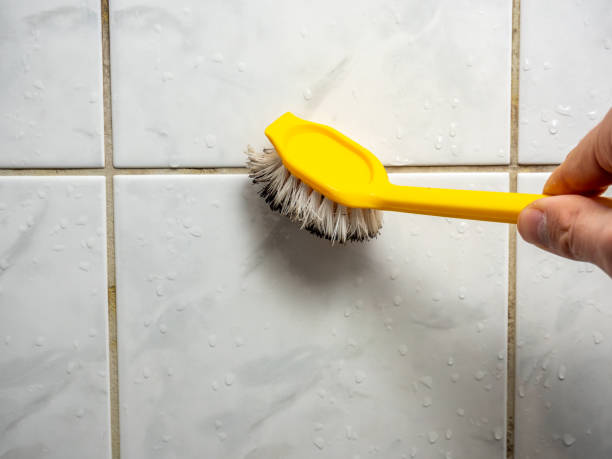 Best Same-Day Mold Removal  in Kenwood Estates, FL