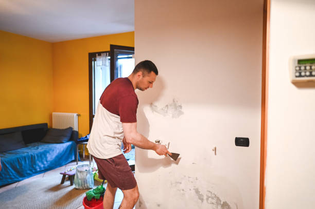 Certified Mold Removal in Kenwood Estates, FL